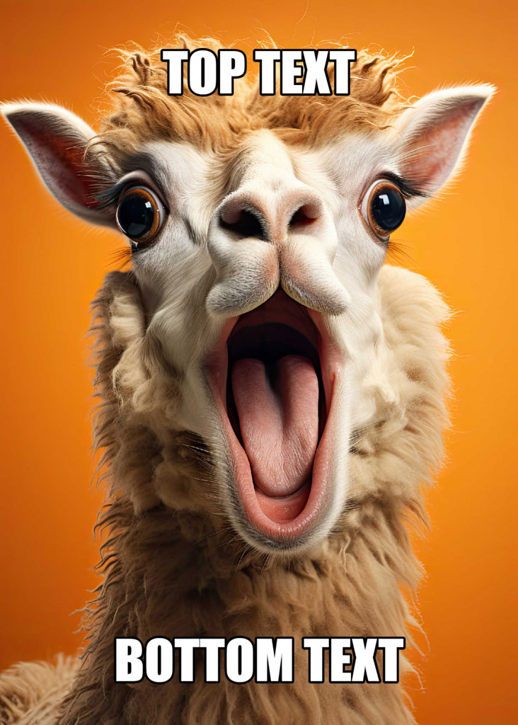 A close-up of a llama with its mouth open and a shocked expression