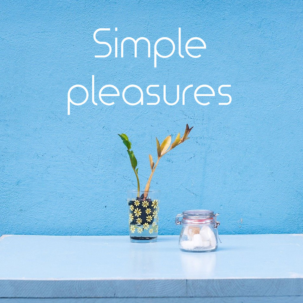 A vase with flowers and a jar on a table against a blue wall with 'Simple pleasures' text.