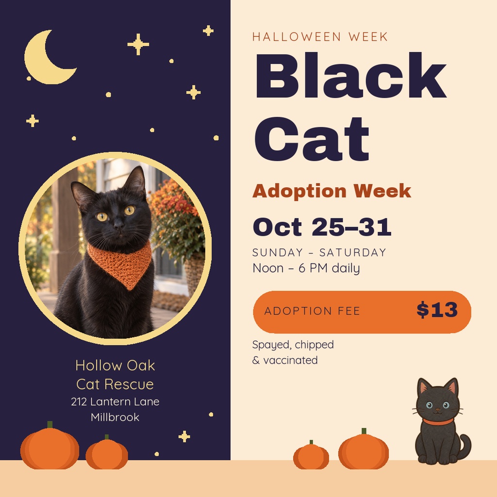 Preview for Black Cat Adoption Week Square Post Template