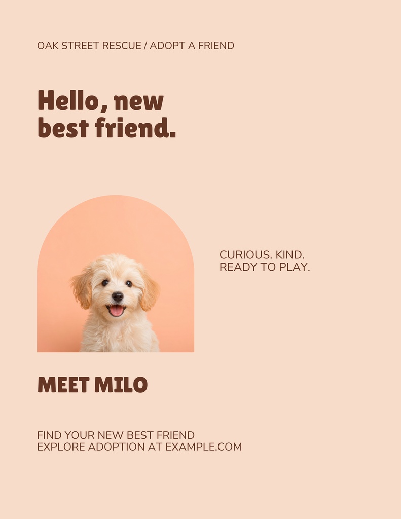 Preview for Hello, New Best Friend Letter Flyer Template
