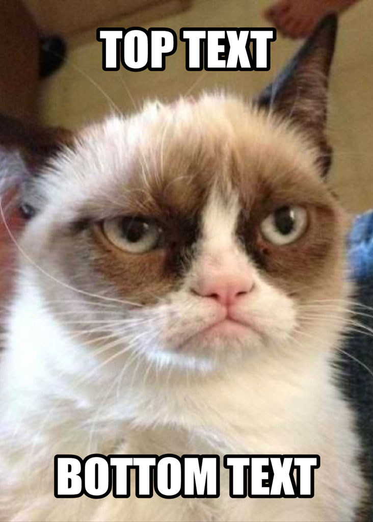 Grumpy Cat meme template with top and bottom text