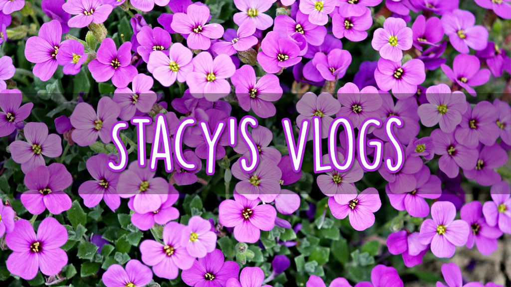 Pink flowers background with Stacy's Vlogs text overlay
