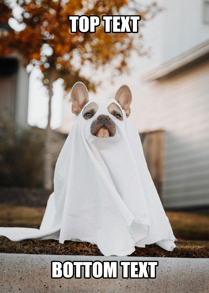 French Bulldog wearing a white sheet with eye holes cut out