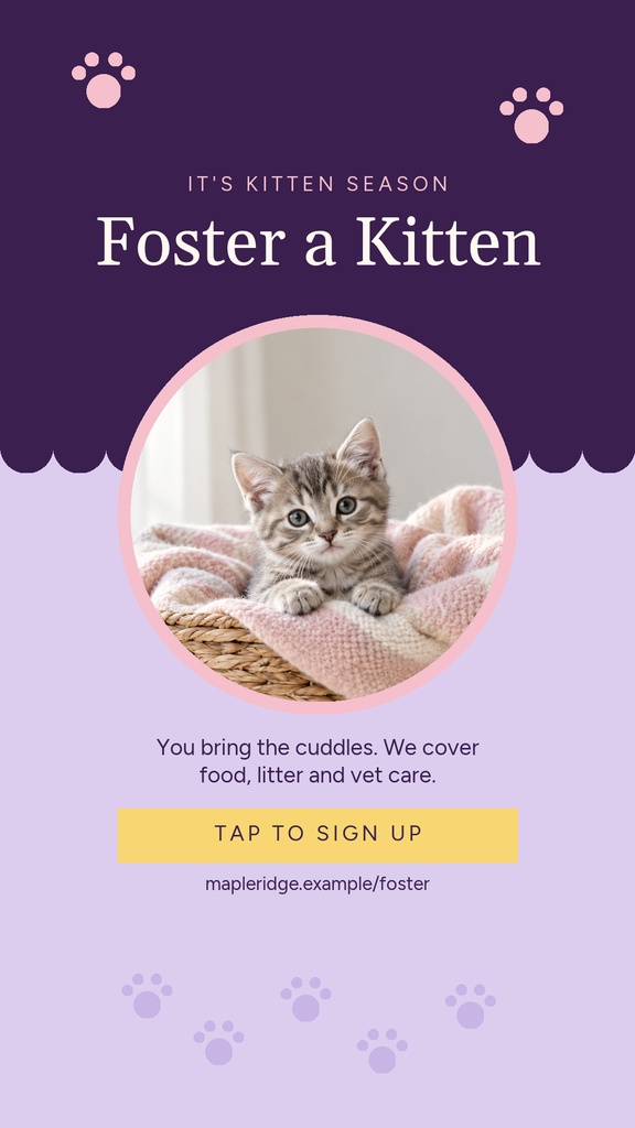 Portrait Instagram story with a kitten in a circular photo frame on a purple background.