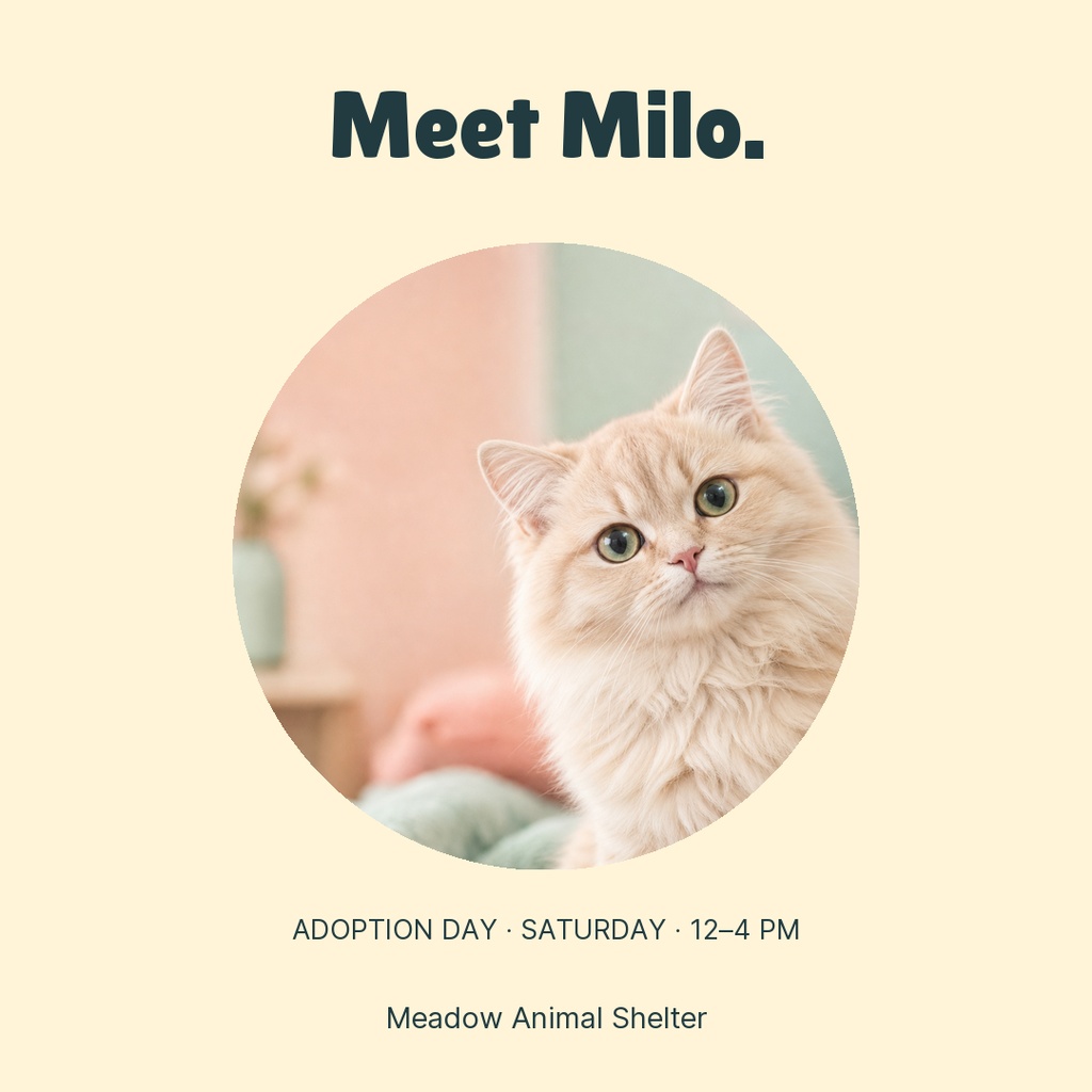 Preview for Hello Little Whiskers Square Post Template