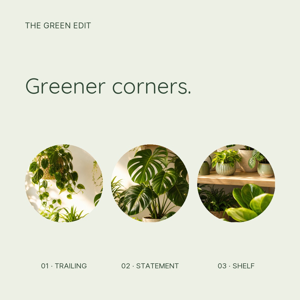 Preview for Greener Corners Square Post Template