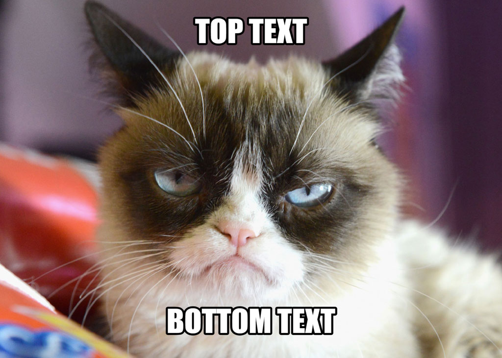 Grumpy Cat with top and bottom text overlay