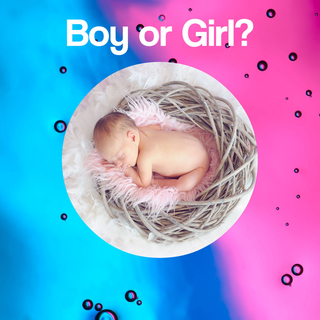 Newborn baby in a nest