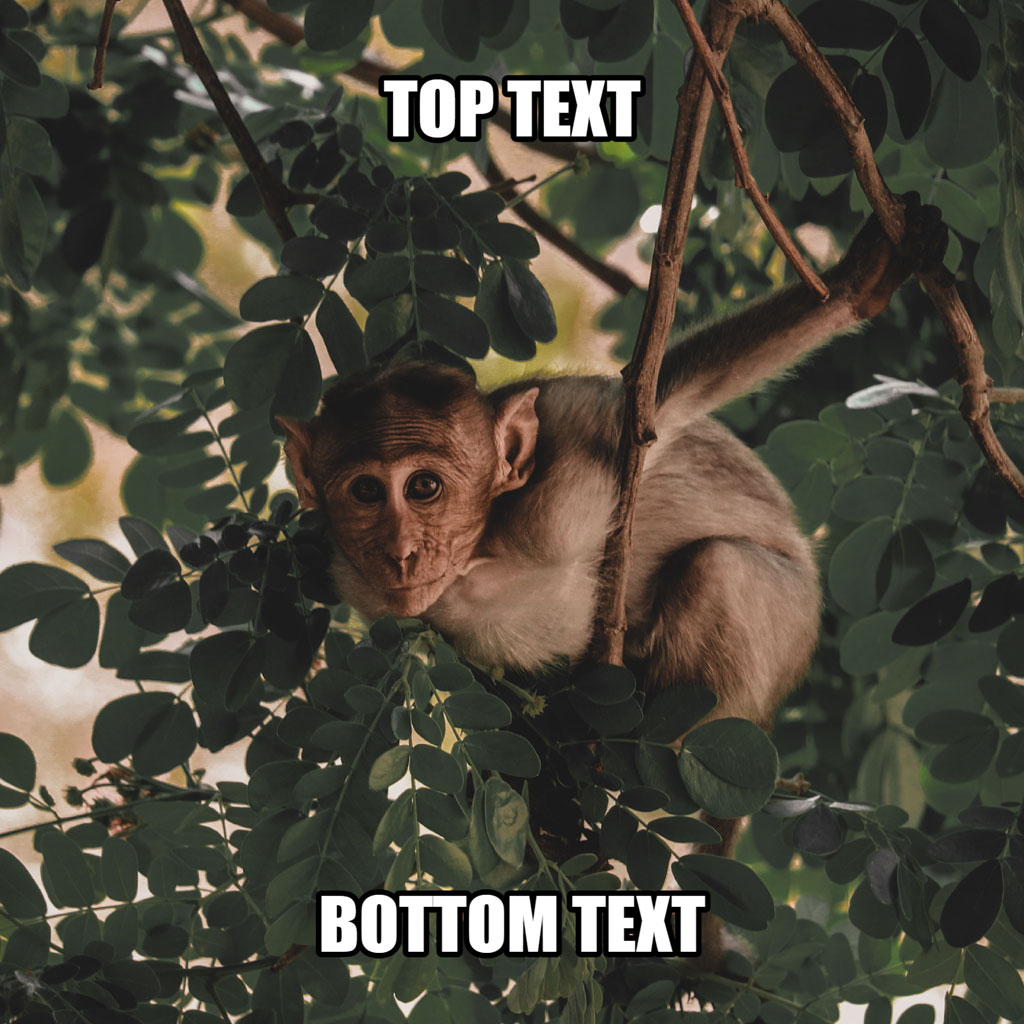 A macaque monkey sitting in a tree surrounded by leaves with meme text overlay.