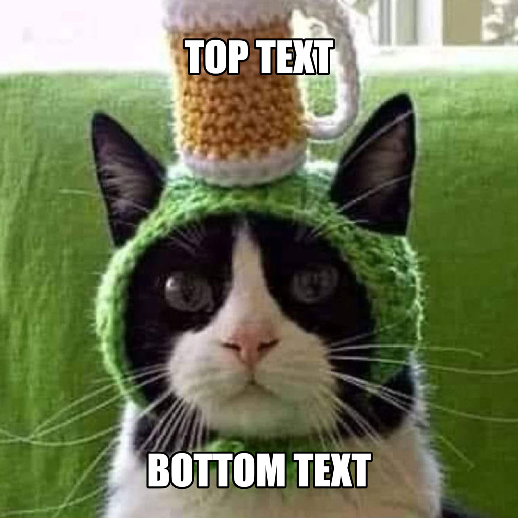 A black and white cat with a green knit hat and a beer mug on top, with 'TOP TEXT' and 'BOTTOM TEXT' captions.