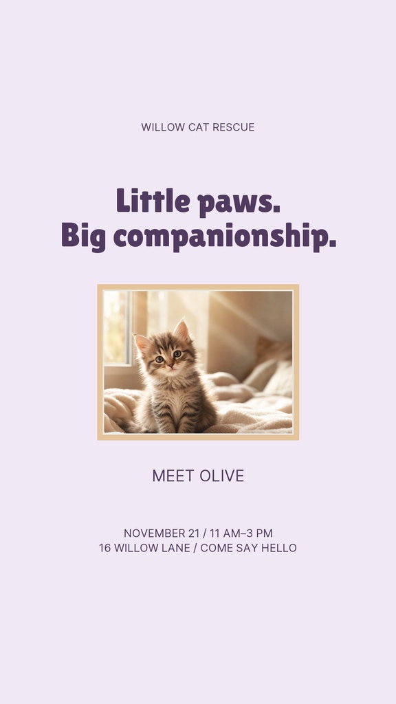 Preview for Purrfect Little Company Story Opener Template