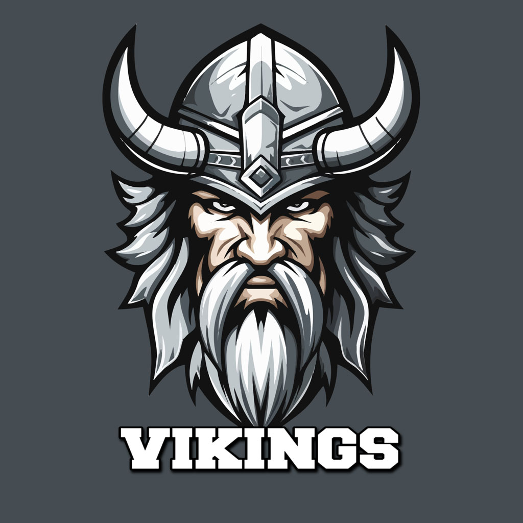 Illustration of a Viking warrior with a horned helmet and long beard.