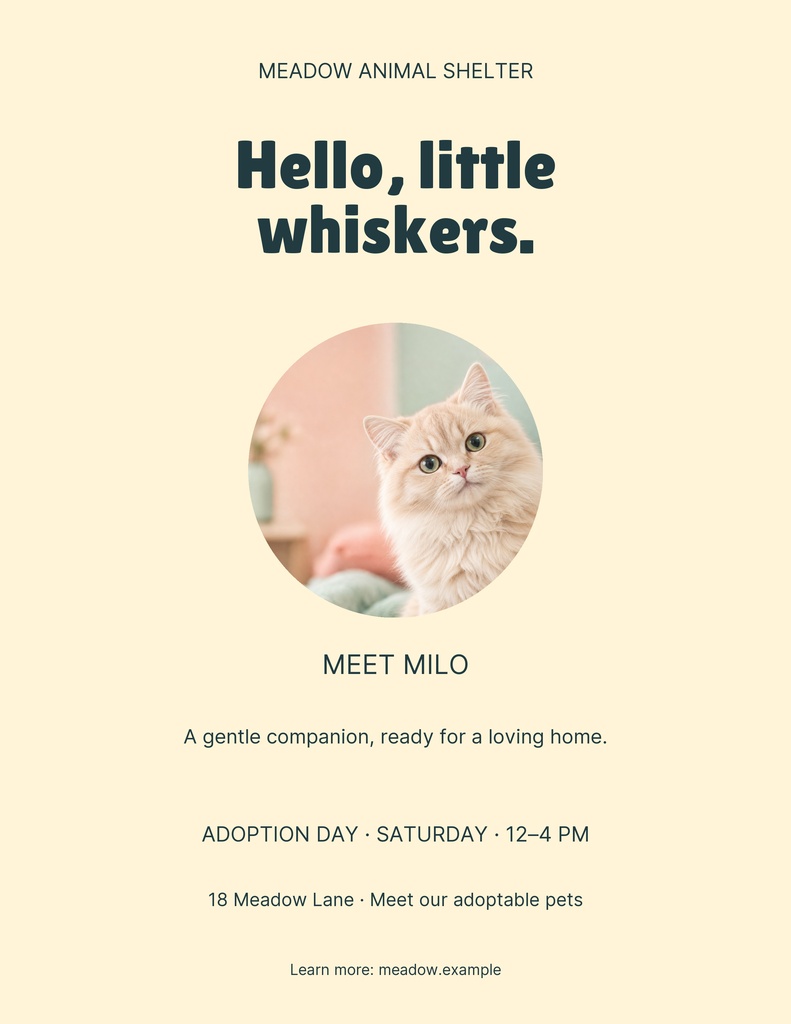 Preview for Hello Little Whiskers Letter Flyer Template