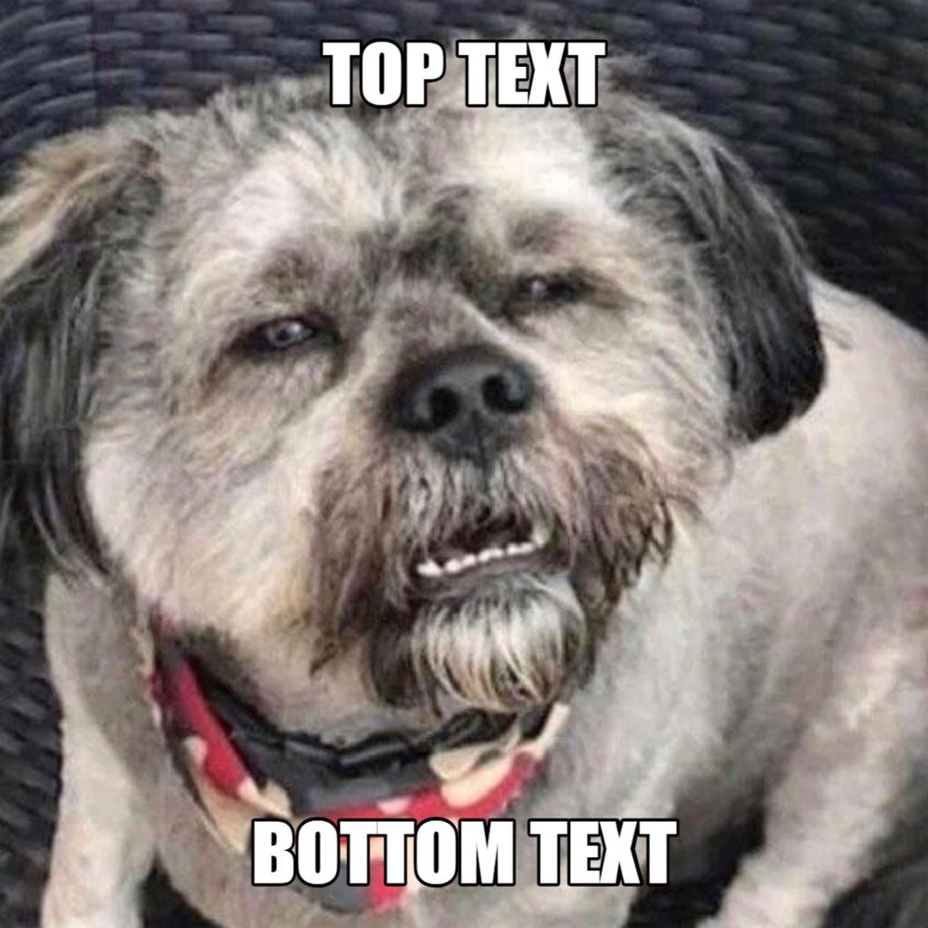 A dog with a red and black collar looking upwards with a goofy expression.