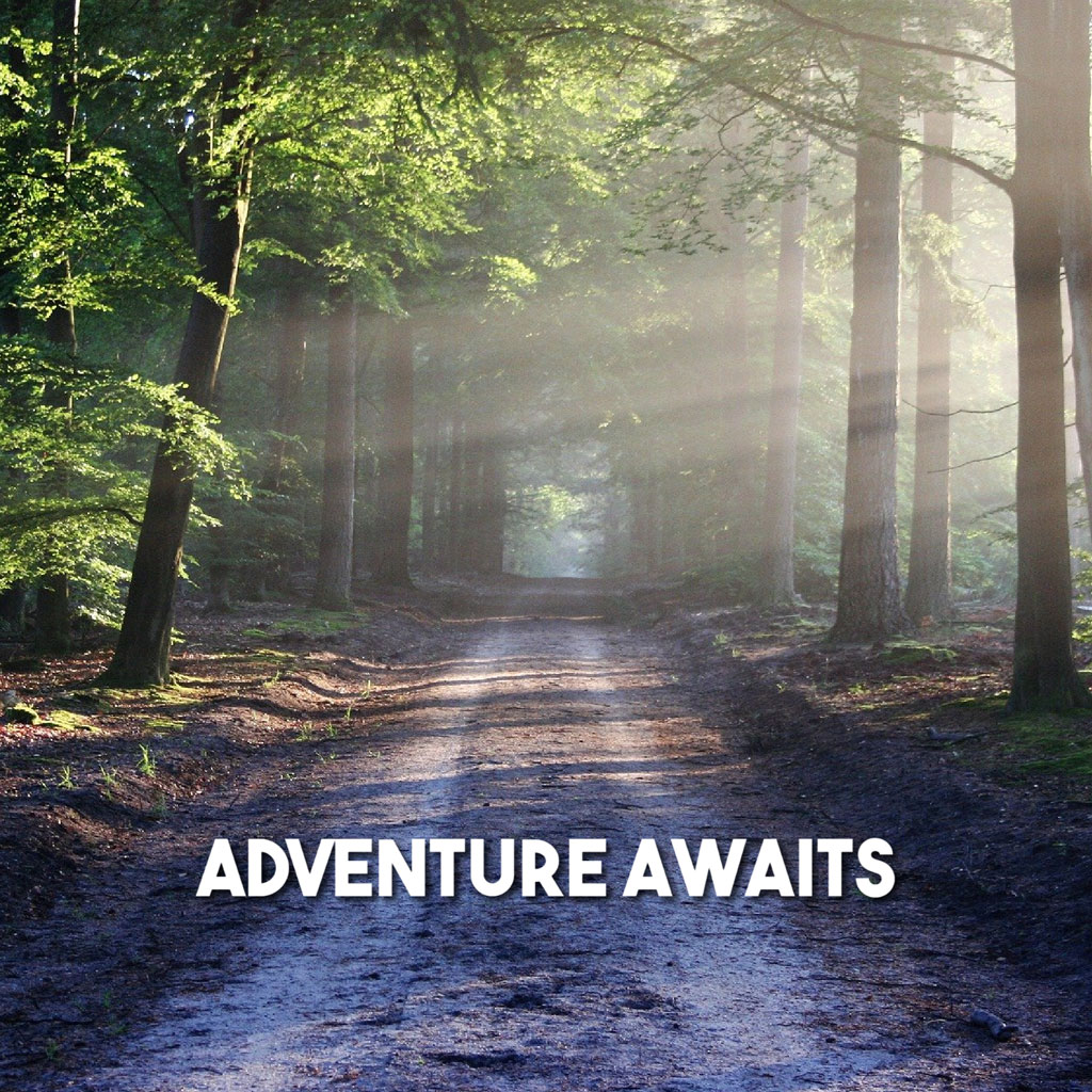 A dirt path through a forest with sunlight filtering through the trees