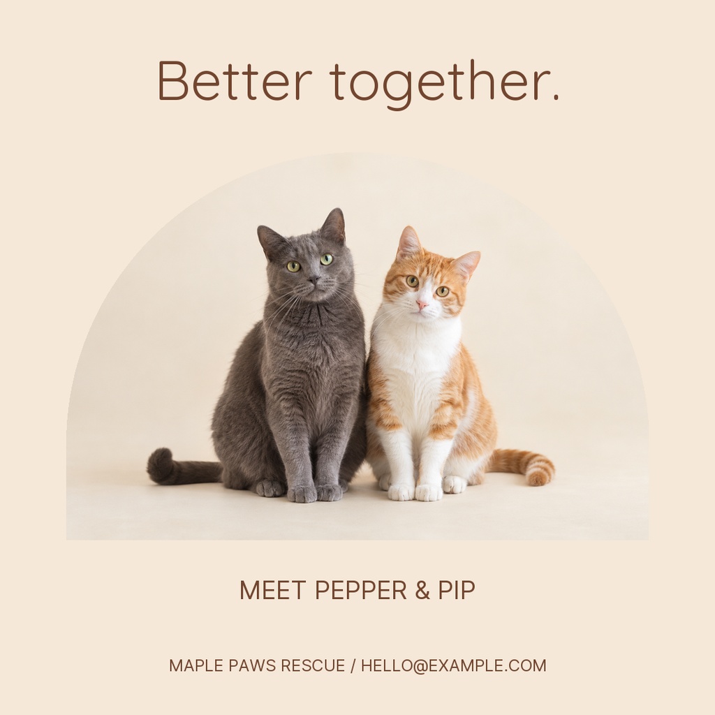 Square post with two cats sitting together under the words Better together and Meet Pepper & Pip.