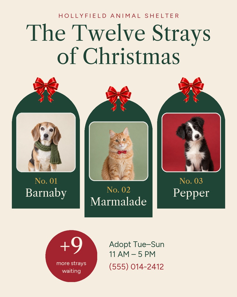 Preview for The Twelve Strays Of Christmas Portrait Post Template