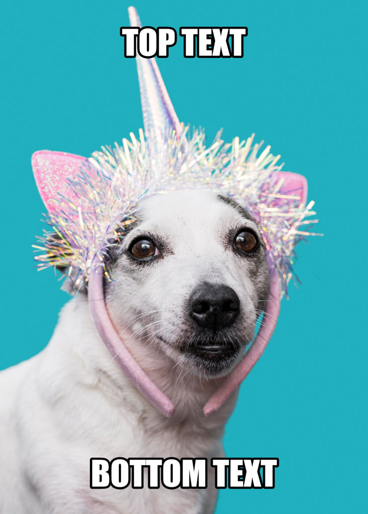A white dog wearing a unicorn costume with a horn and ears, set against a teal background with top and bottom text overlays.