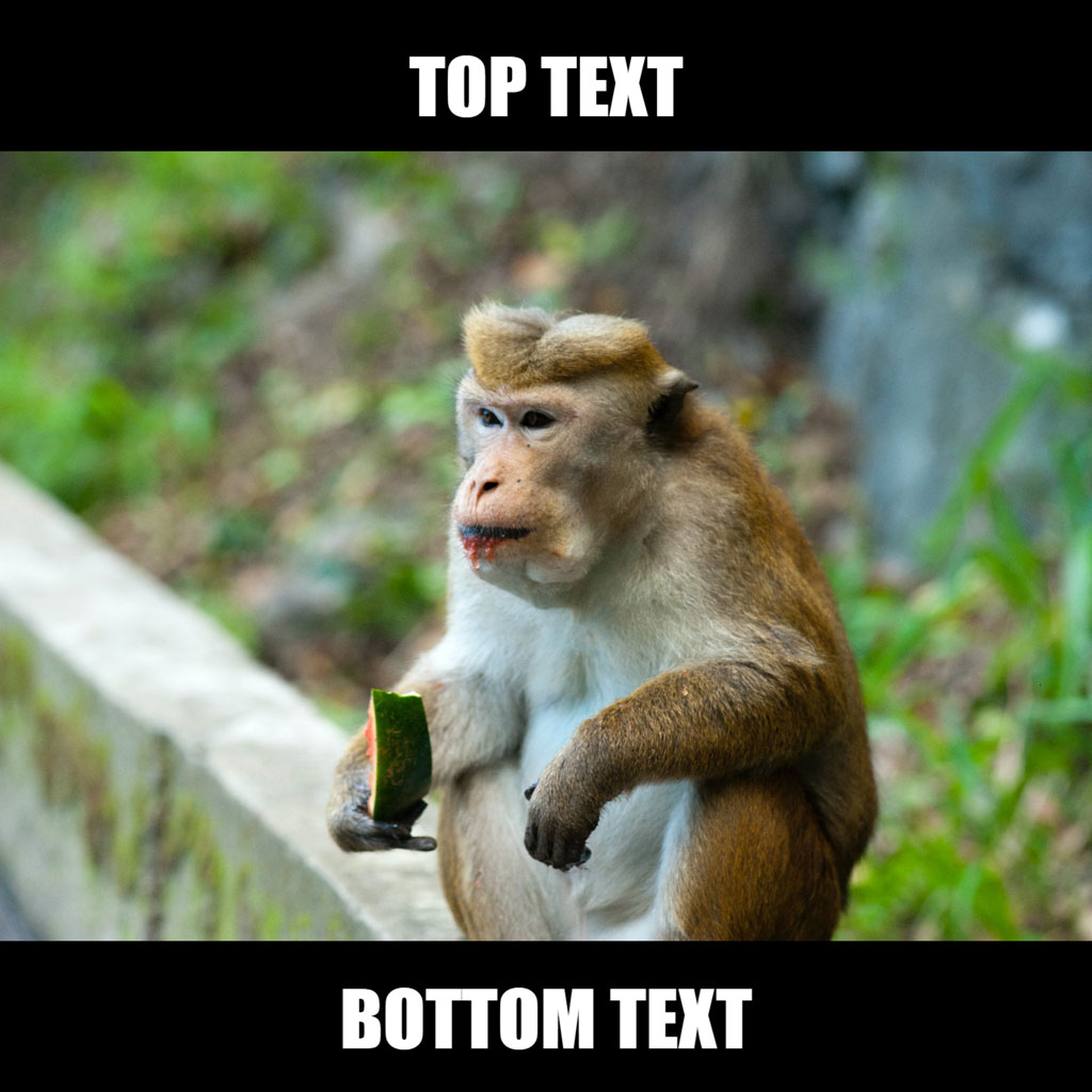 A monkey sitting on a concrete ledge, holding a phone and looking to the left, with top and bottom text overlay.
