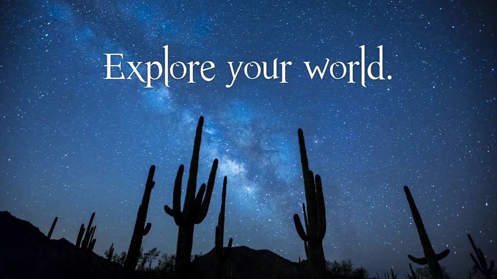 Starry night sky with cacti silhouettes