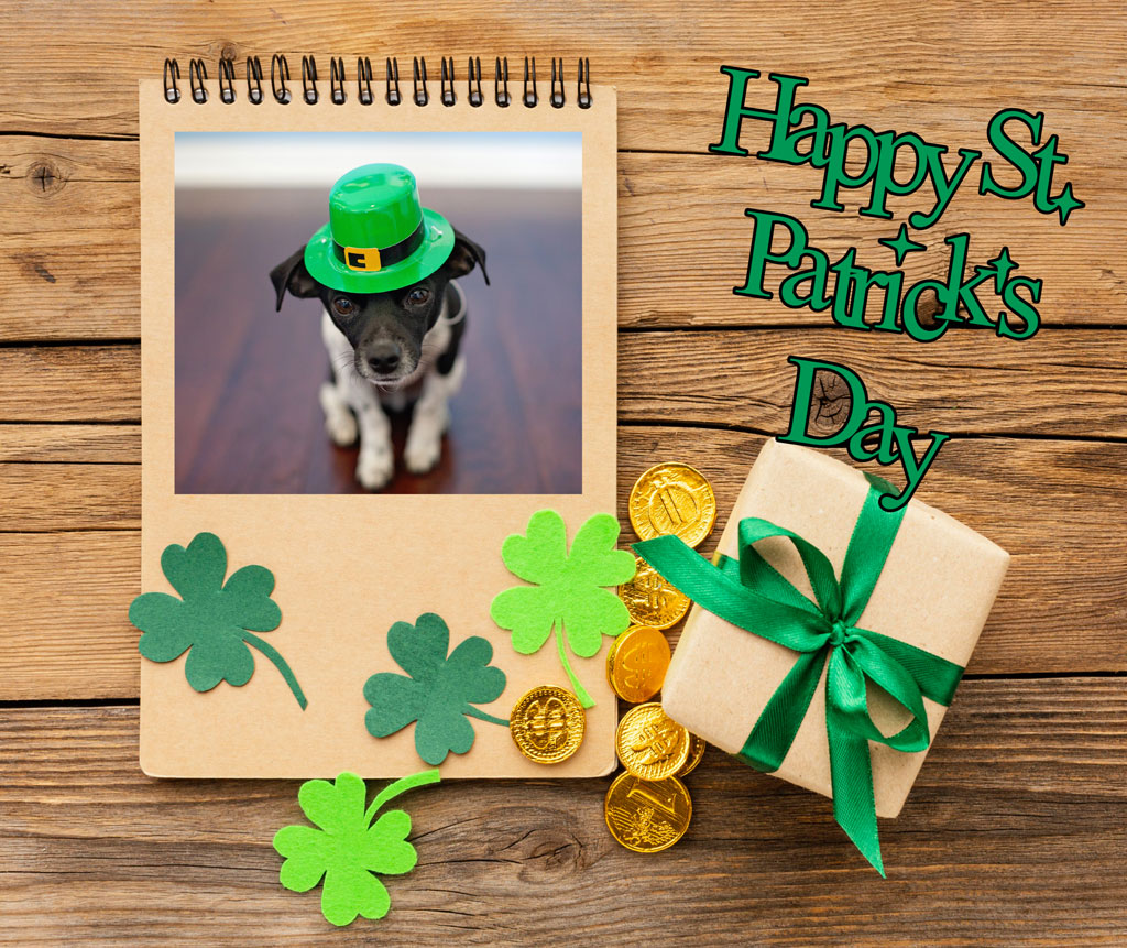 Puppy wearing a green hat on St. Patrick's Day