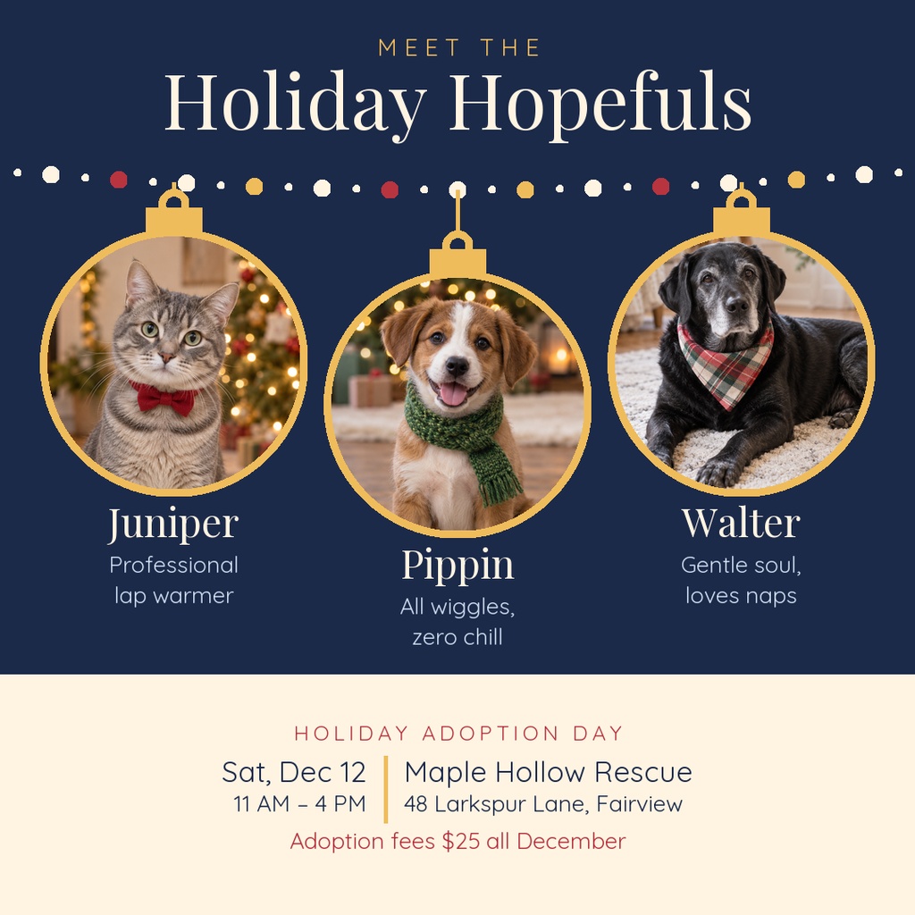 Square holiday adoption event post with three pet portraits and event details.