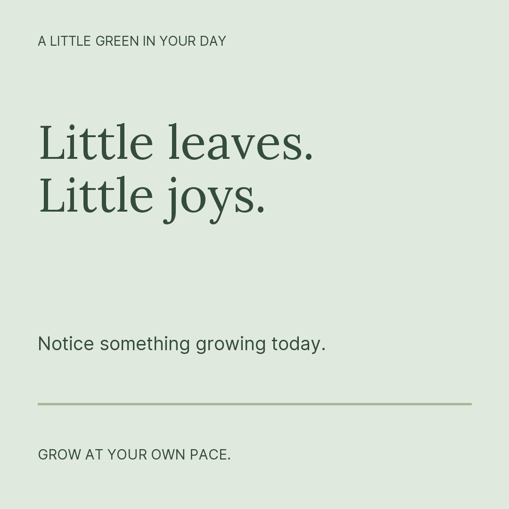 Minimalist green square post with the text Little leaves. Little joys. and Grow at your own pace.
