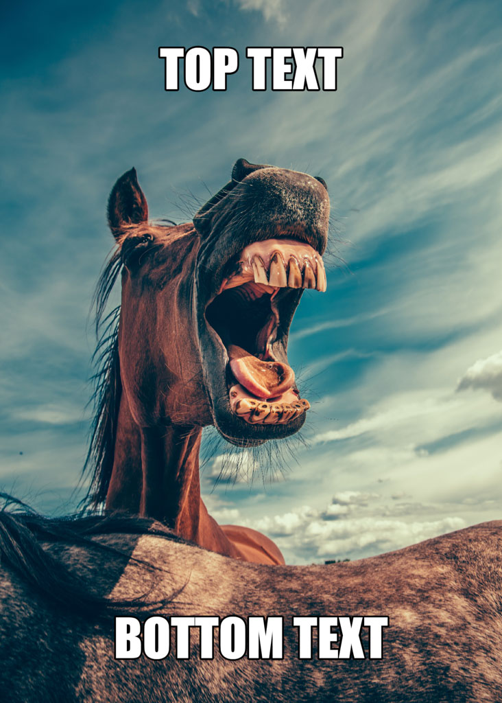A brown horse with its mouth open, appearing to laugh or scream.