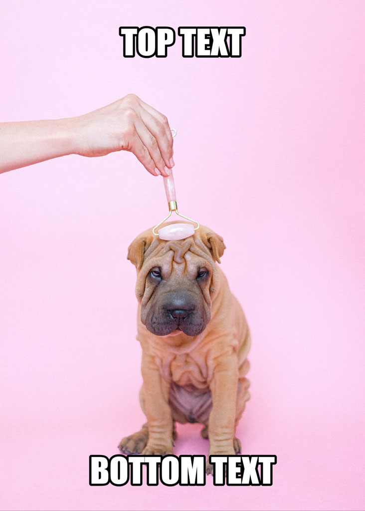 A hand holding a rose gold facial roller above a Shar Pei puppy's face