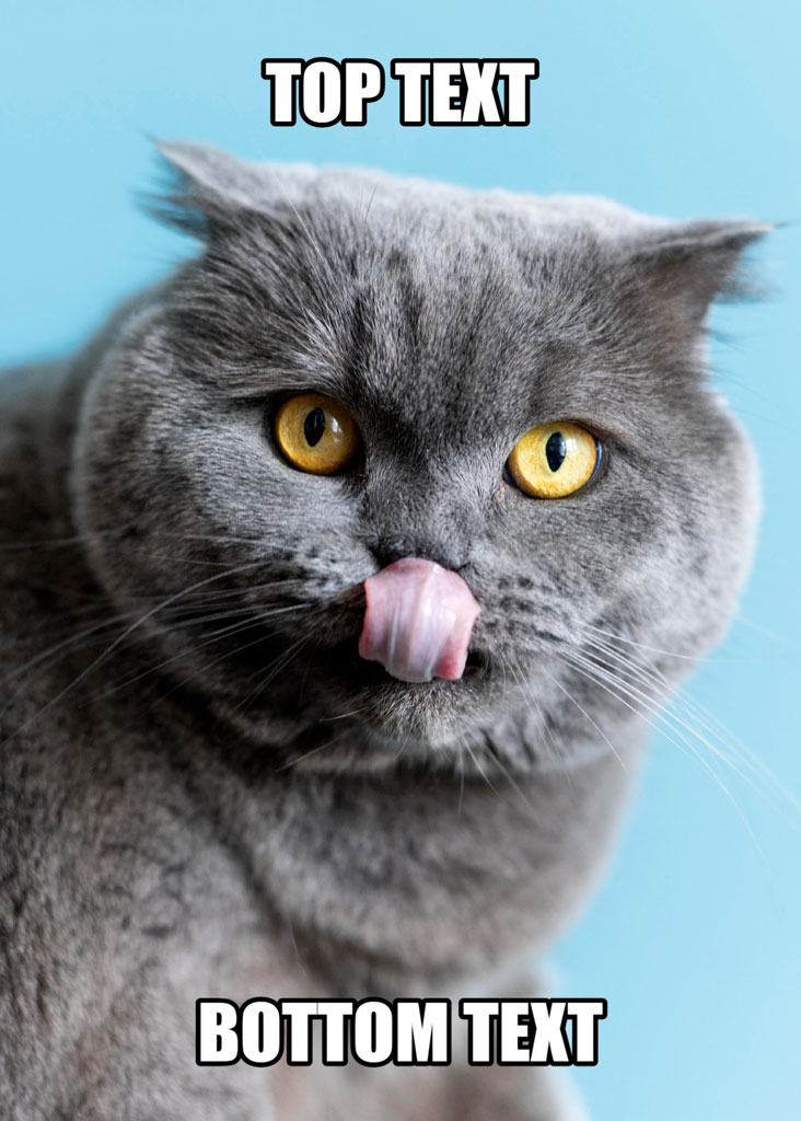 A grey cat with yellow eyes and tongue out