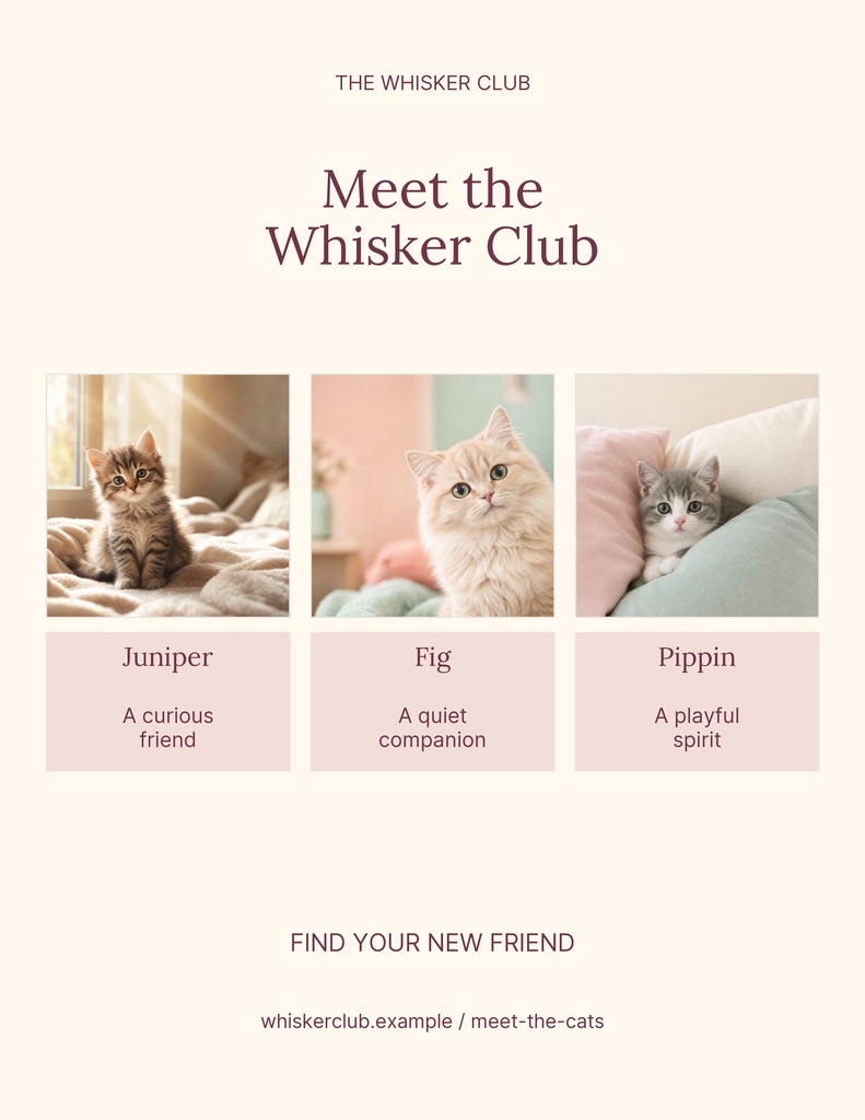 Preview for Meet The Whisker Club Letter Flyer Template
