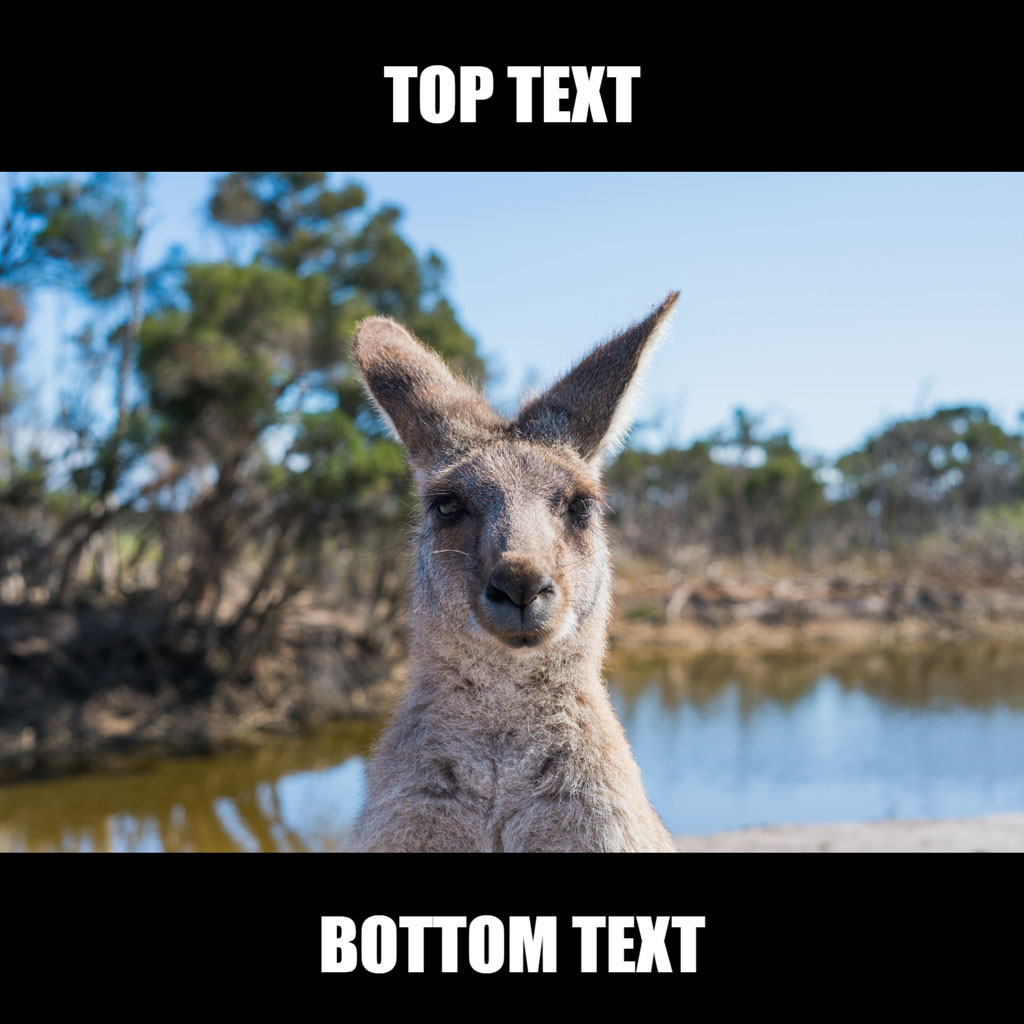 A kangaroo standing near a body of water with trees in the background.