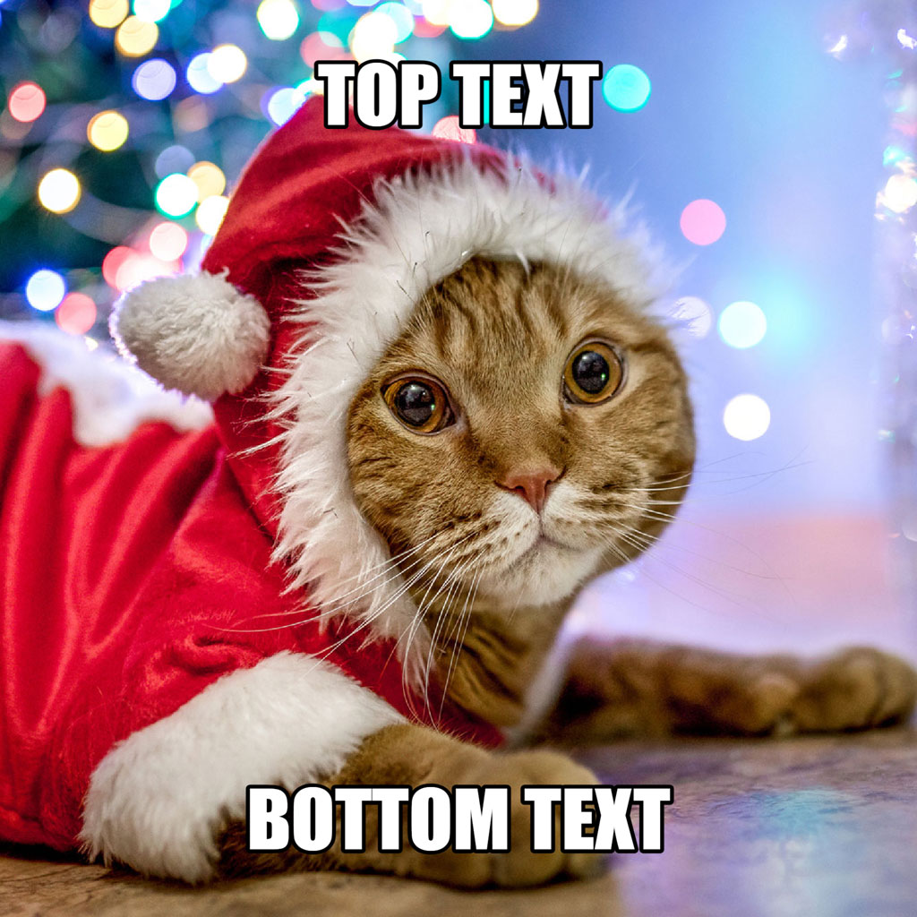 Orange tabby cat in Santa costume lying on the floor with a Christmas tree behind