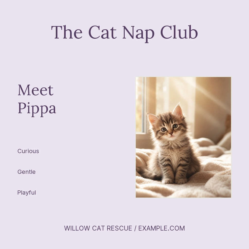 Preview for The Cat Nap Club Square Post Template