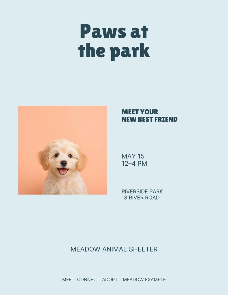 Preview for Paws At The Park Letter Flyer Template