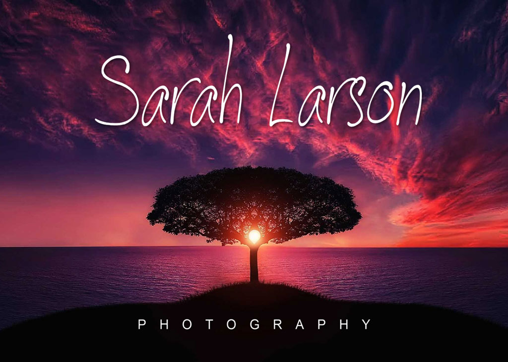 A serene landscape photograph by Sarah Larson, featuring a tree on a hill with a vibrant sunset in the background.