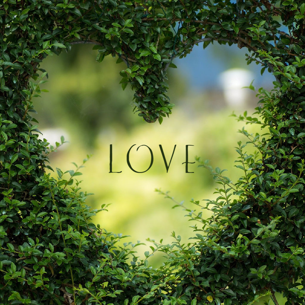 The word LOVE centered in a lush green archway