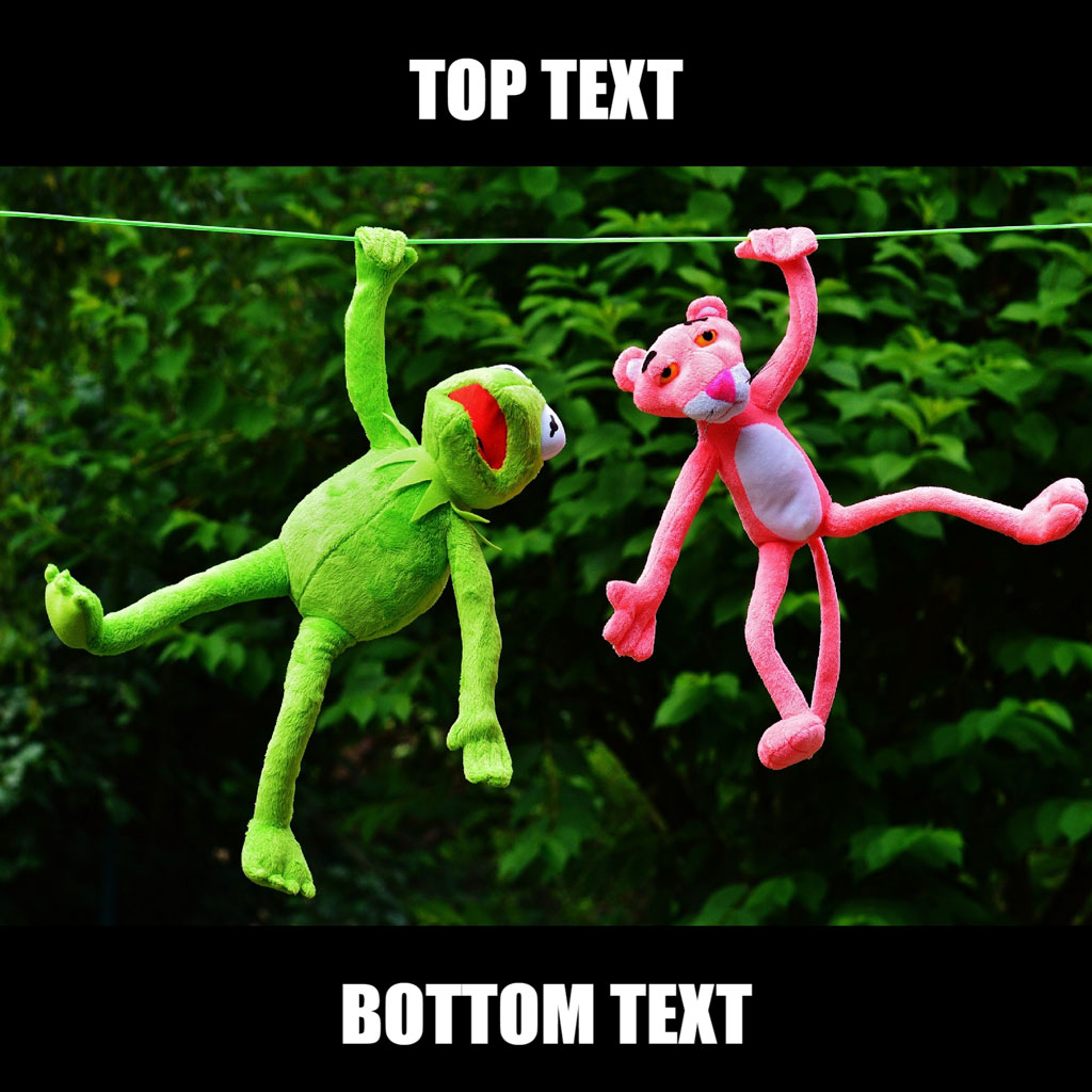 Kermit and Miss Piggy hanging from a clothesline