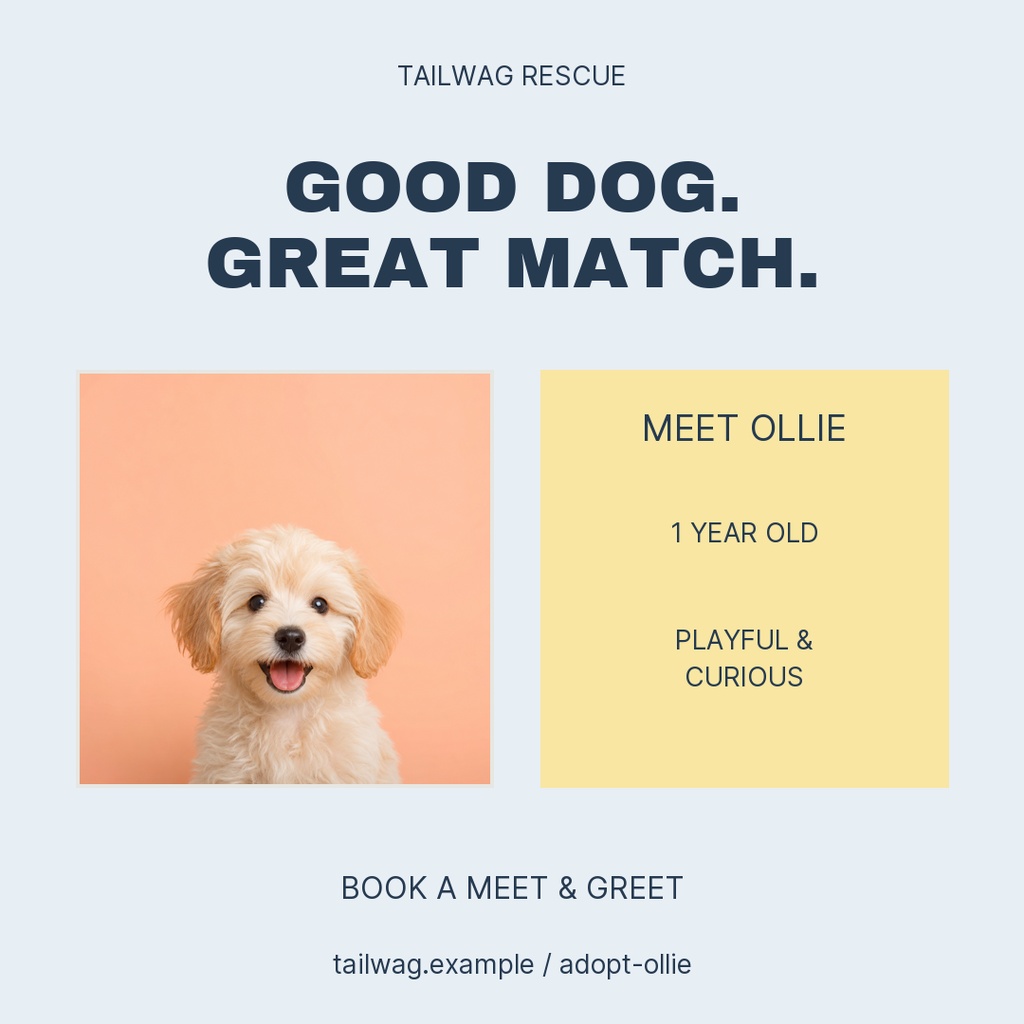 Preview for Good Dog Great Match Square Post Template