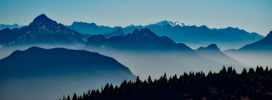 A misty mountain range with silhouetted trees