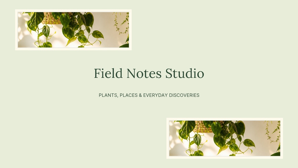 Preview for Field Notes Studio Youtube Banner Template
