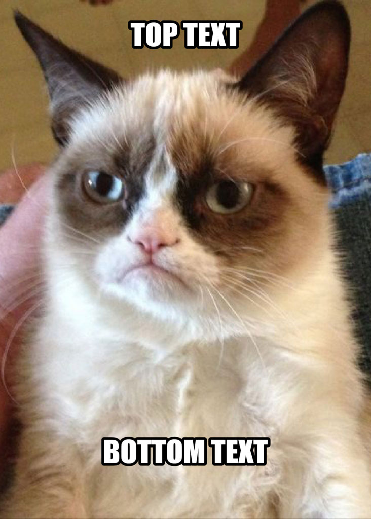 Grumpy Cat with top and bottom text overlay