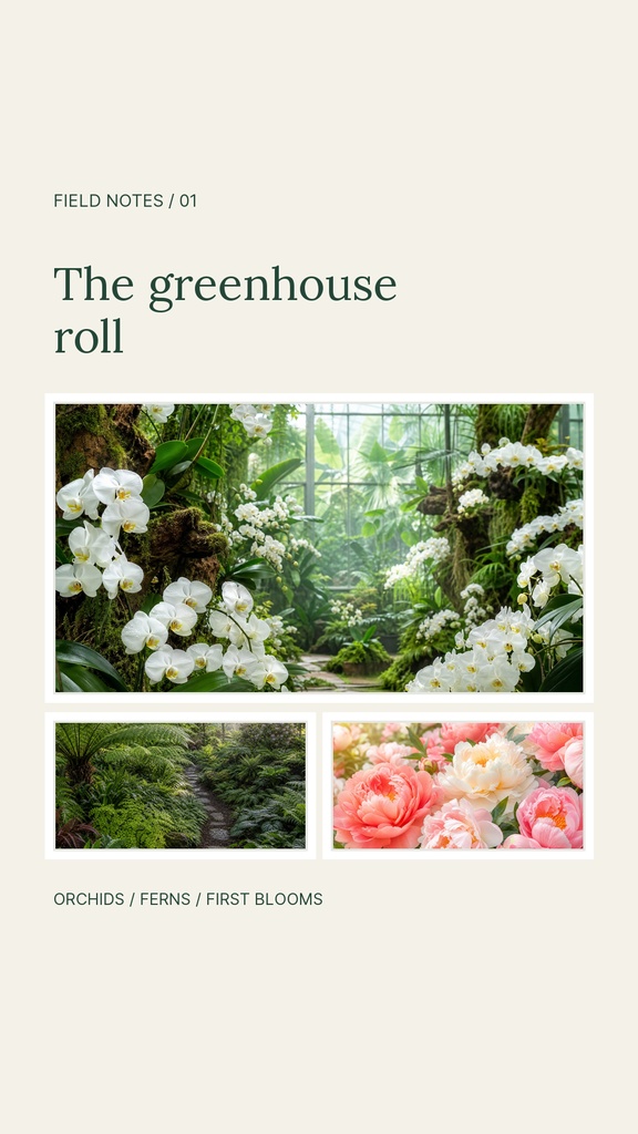 Preview for The Greenhouse Roll Story Opener Template