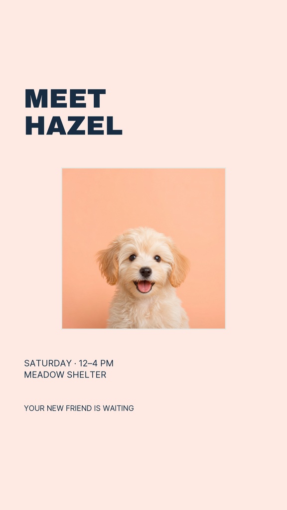 Preview for A Home For Hazel Story Opener Template