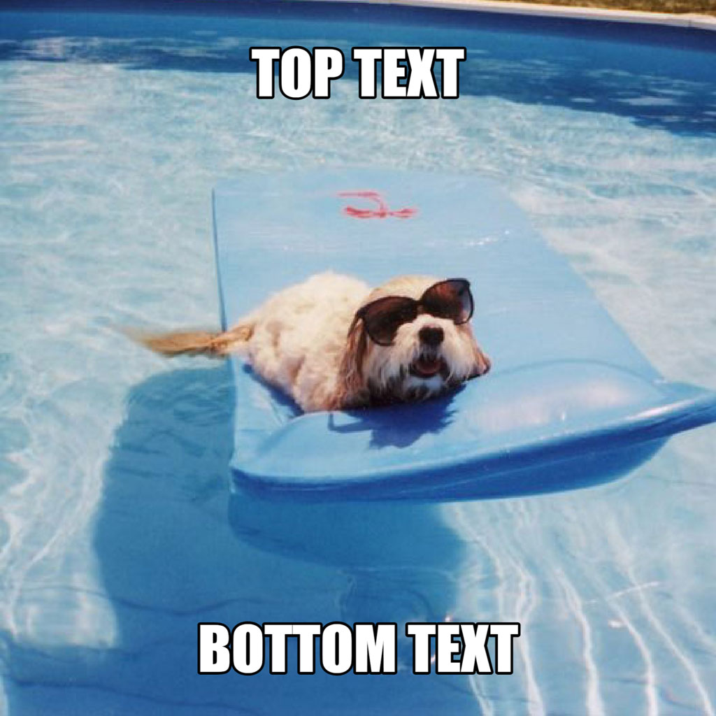 A small white dog wearing sunglasses lies on a blue pool float in a swimming pool.
