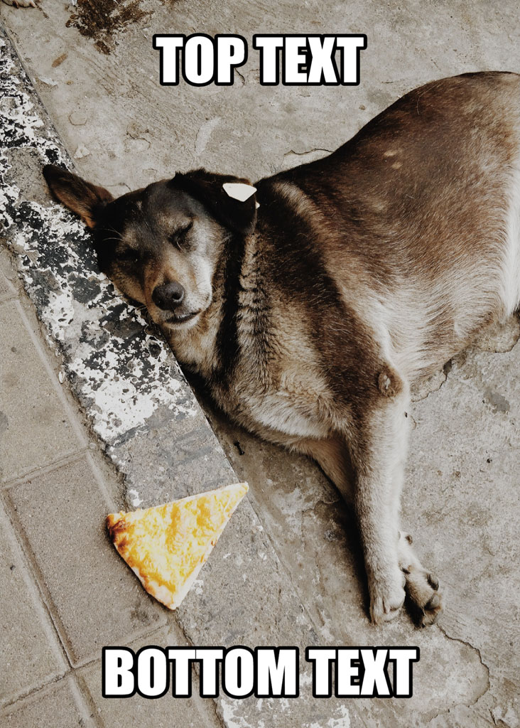 A dog lying on the ground with a pizza slice beside it