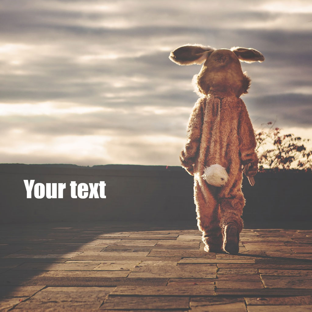Child in bunny costume walking on stone path at sunset