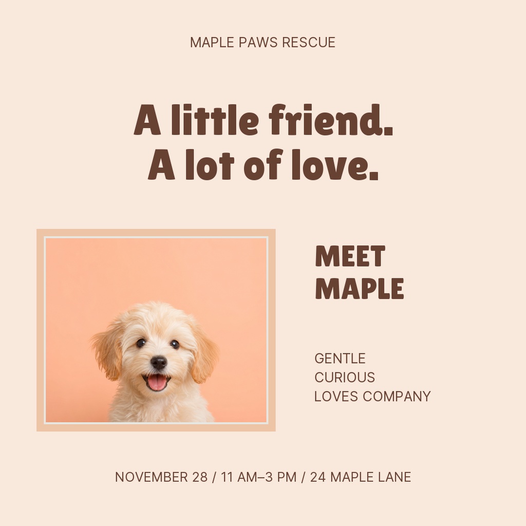 Preview for Meet Maple Square Post Template
