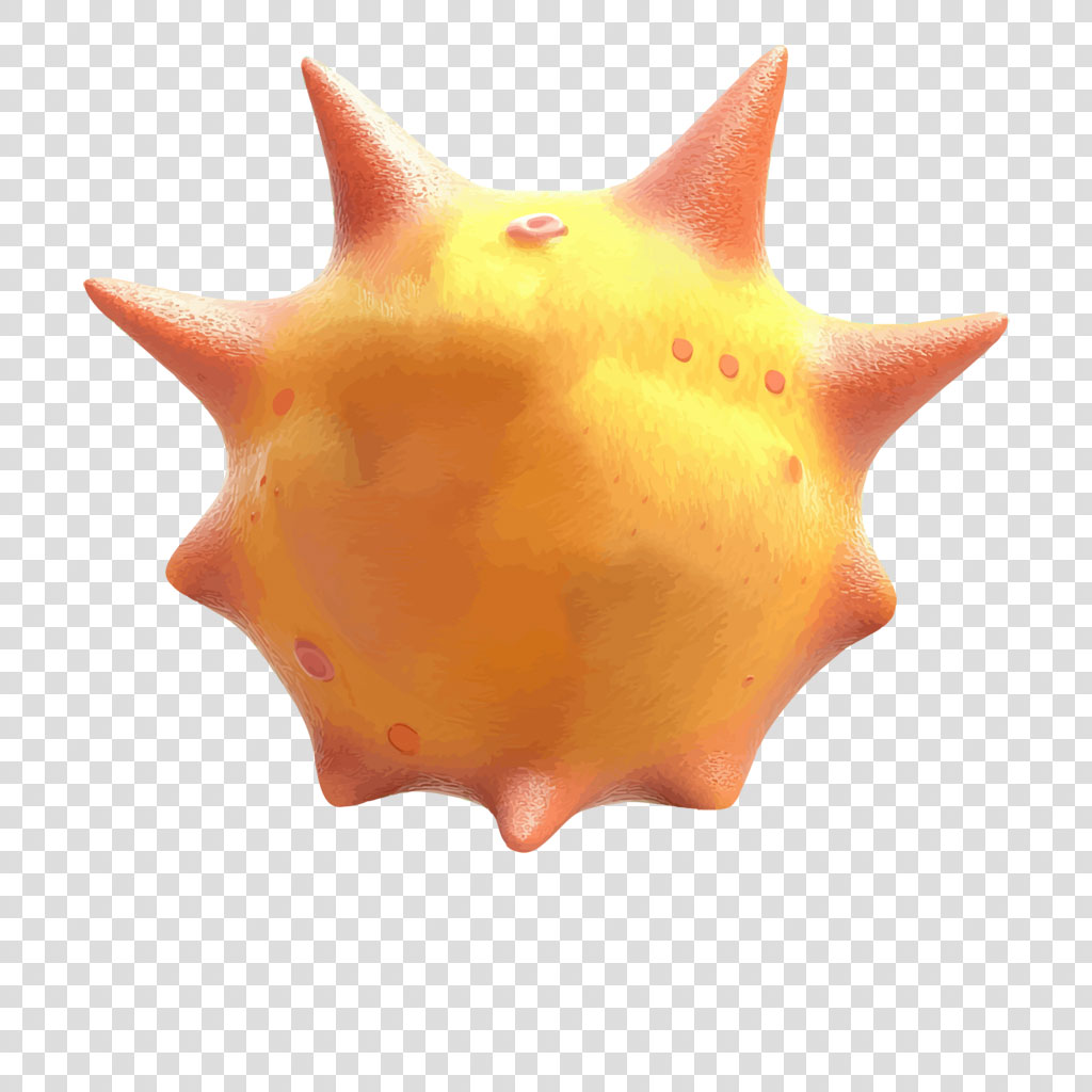 Kiwano fruit with orange and yellow gradient, spiky exterior