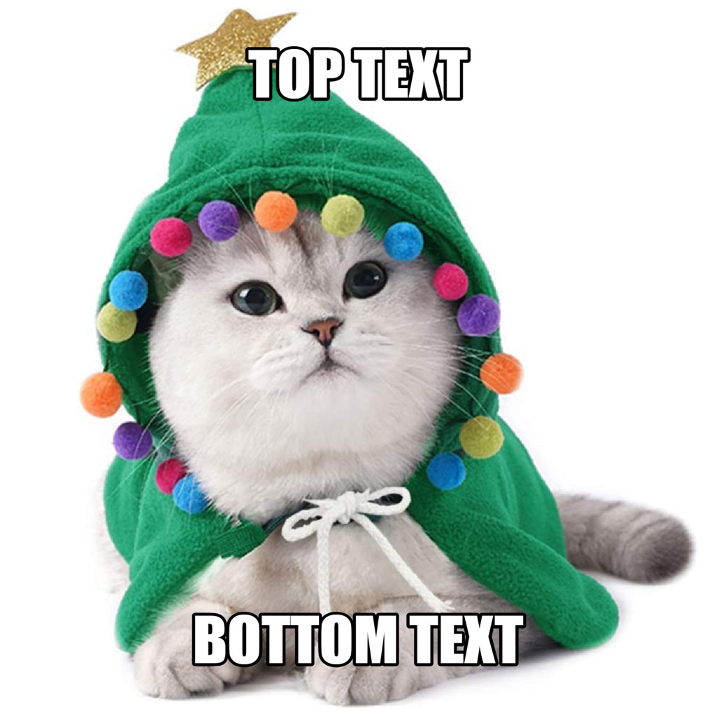 White cat wearing a green Christmas tree hoodie with colorful pom-poms and a gold star
